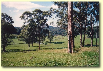 Farm View & Rear Cottage