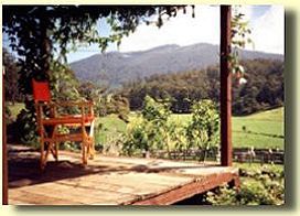 View from Apple Tree Cottage